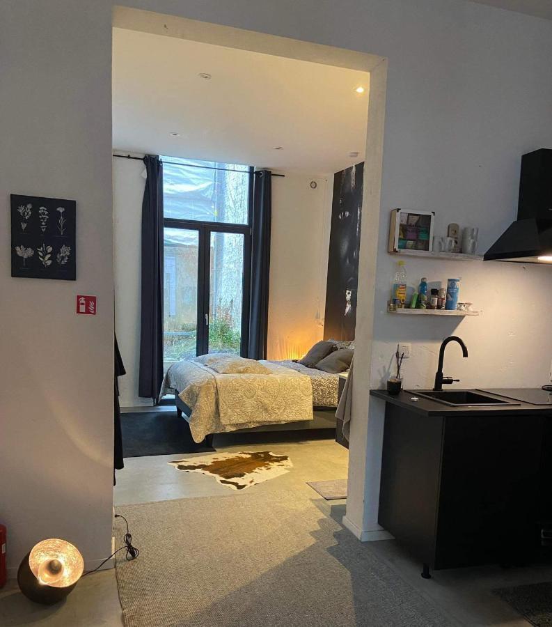 Garden Suite In City Center Anvers Exterior foto