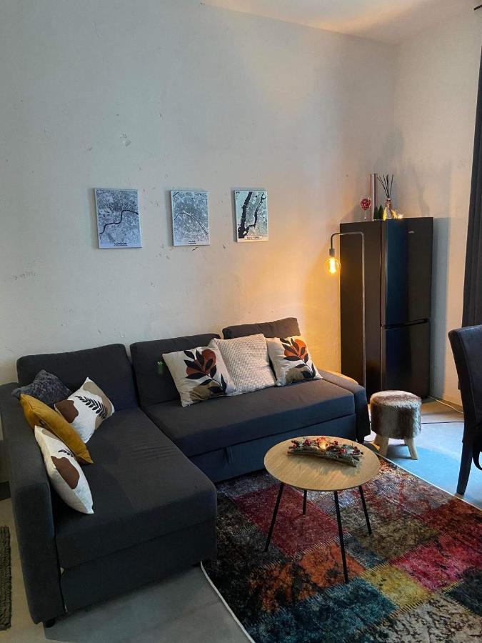 Garden Suite In City Center Anvers Exterior foto